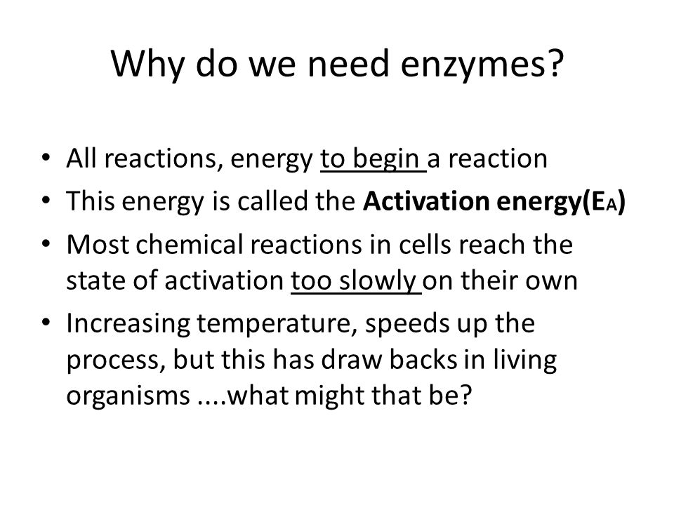 Why do living things need energy?